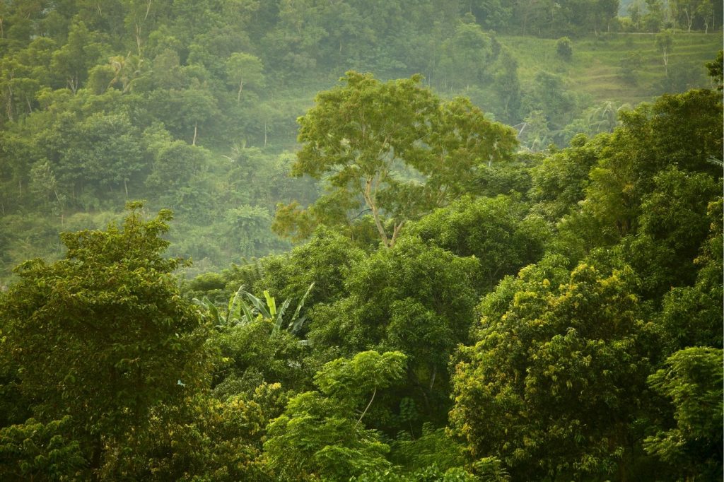 sustentabilidade